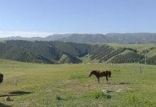 明天的云-似水流年